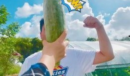 网红吃瓜爆料最新,娱乐圈最新猛料大曝光！